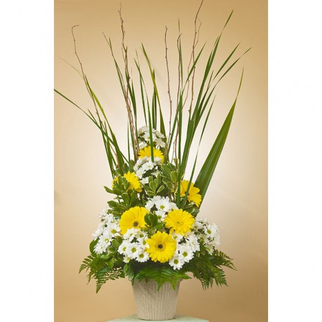 Mb 02 sunshine basket